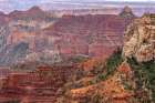 USA-Arizona-Grand Canyon National Park Landscape from North Rim of Roosevelt Point Art Print